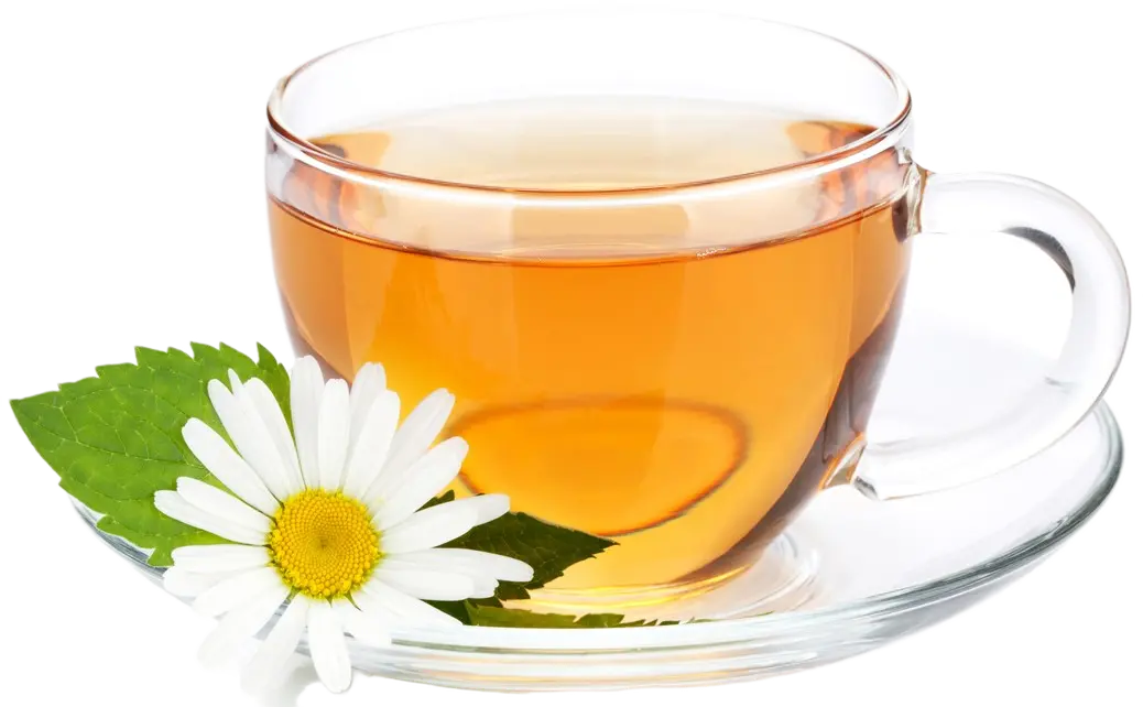 Camomile